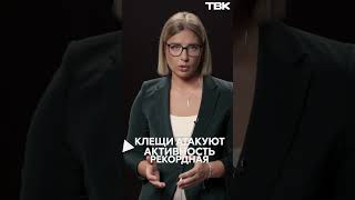 Главные темы на ТВК / Анонс 13-17 мая