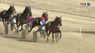 Vidéo de la course PMU PREMI SORAYA MIXO