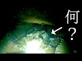 テトラポットの中にタコカゴを仕掛けると、謎の魚が…