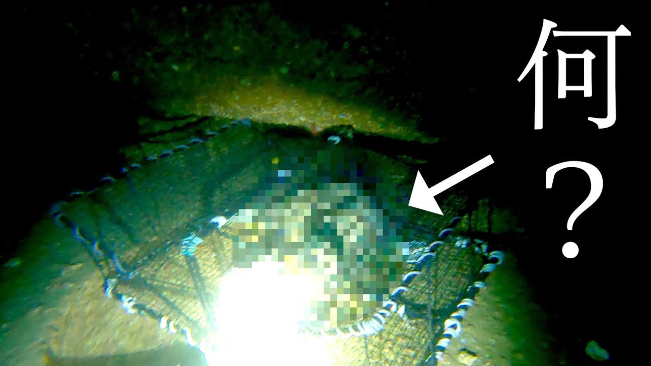 テトラポットの中にタコカゴを仕掛けると、謎の魚が…