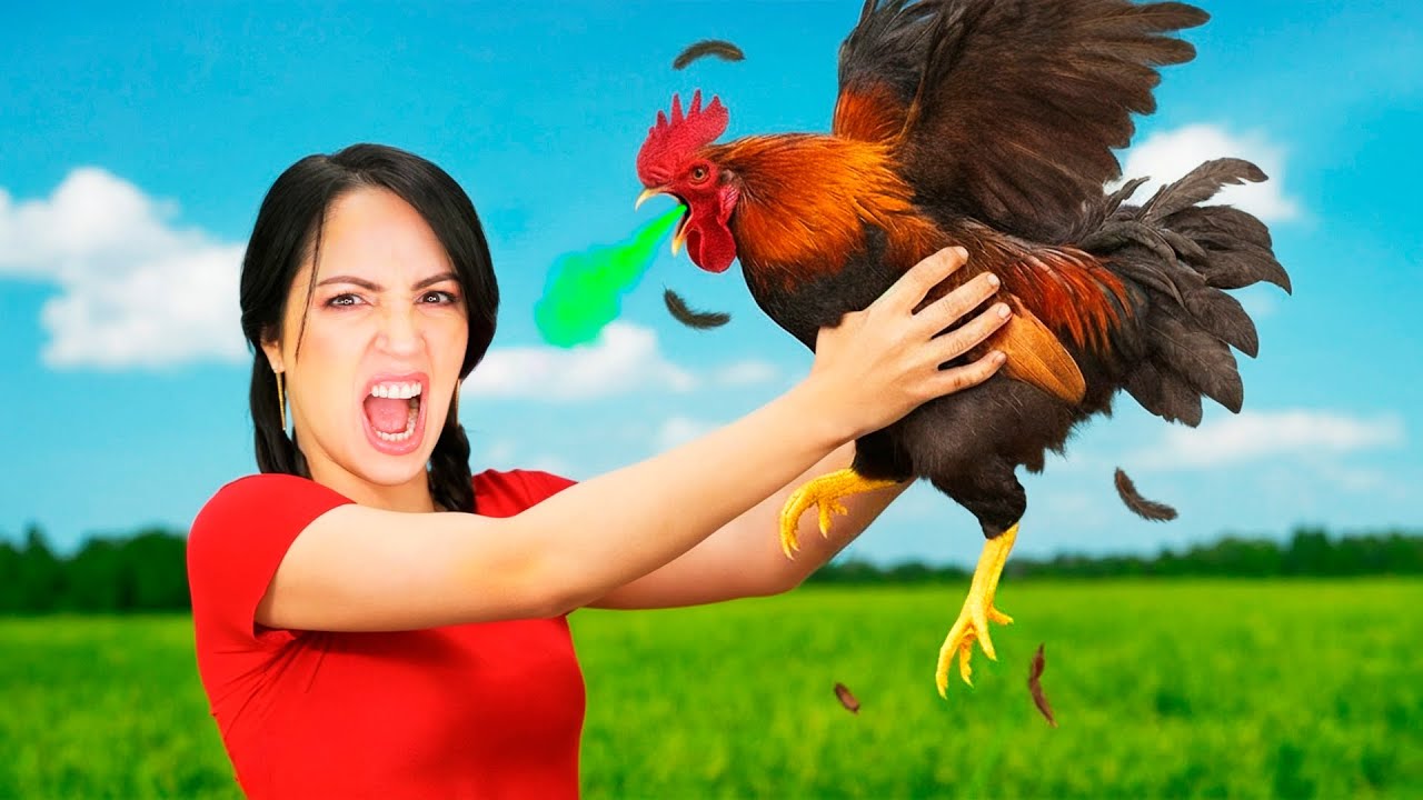 El Gallo Me Ataca de Nuevo 😱 Ya No Se Que Hacer 😥 Sandra Cires Vlog