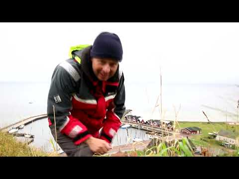 Video: Hvorfor De Store Søer Er Et Must Se I Din Levetid