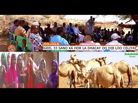 Geel la Kala Dhacay Mudo 33 Sano ah Oo La Soo Celiyay