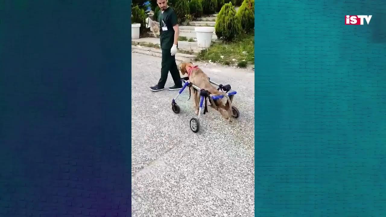 Gülümse 6. Bölüm | Azize Dınkırcı ve Özge Dınkırcı