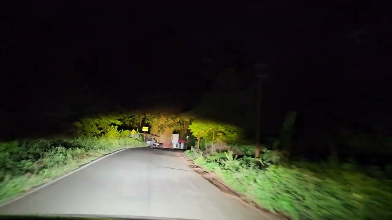 Kia Carens Clavis w5 projector fog lamps