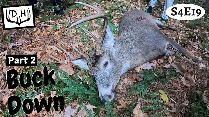 OHIO Public Land Buck Down