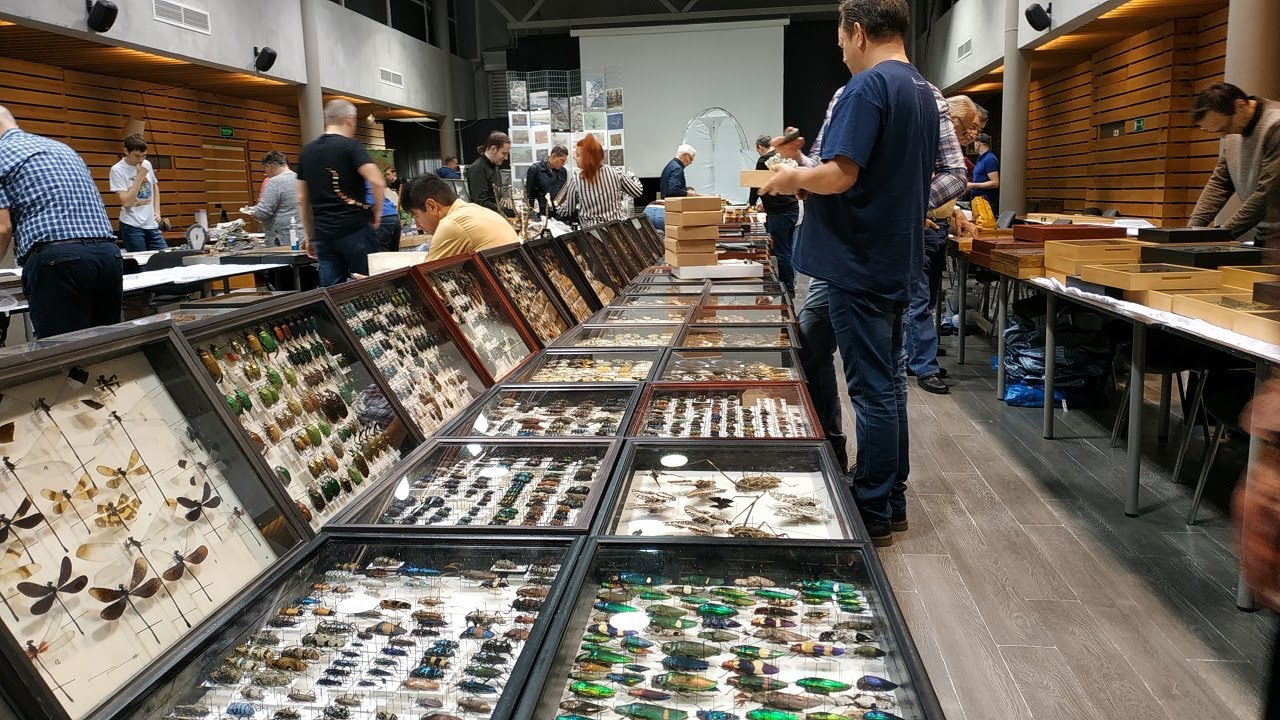 13 выставка ярмарка насекомых, 13 Международная Выставка Ярмарка насекомых  Москва