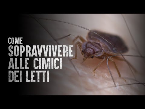 Video: Come trattare la malattia dei punti bianchi (Ich) nei pesci tropicali?