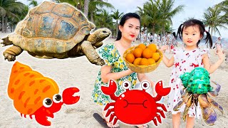 Cam Cam tìm kiếm các con vật thú vị ở bãi biển: con cua, chó con - nhặt trứng rùa khổng lồ
