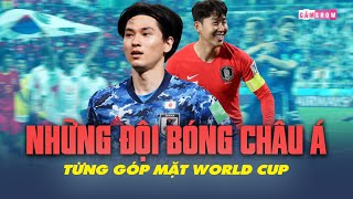 Tất tần tật về 12 ĐỘI BÓNG CHÂU Á từng góp mặt ở sân chơi WORLD CUP