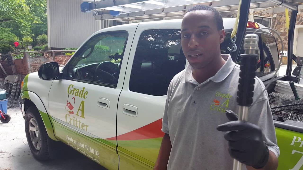 removal of fallopian tube Fox caught number 1