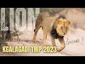 I finally see some lions in the kgalagadi    episode 36
