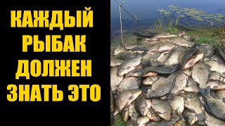 ВСЯ РЫБА КЛЮЁТ НА ЭТО КРУГЛЫЙ ГОД! КАЖДЫЙ РЫБАК ОБЯЗАН ЗНАТЬ ЭТО!