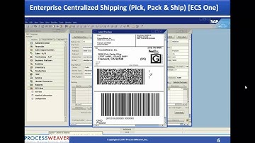 Global Native SAP Shipping Solutions - ProcessWeaver