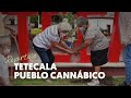 Video de Tetecala