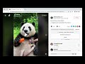 TKCommentExport - Export TikTok Comments chrome extension