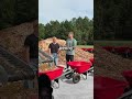 #farming #mrbeast #many