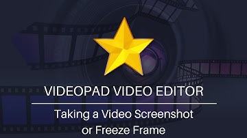 Taking a Video Screenshot or Freeze Frame | VideoPad Video Editing Tutorial