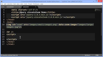 One Great JQuery Zoom Plugin  ElevateZoom