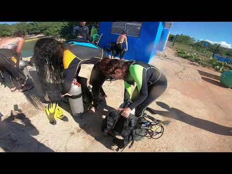 Faro Luna curso de buceo para mujeres.
