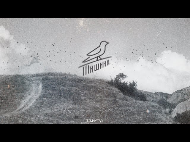 ЕЛЕНА ТЕМНИКОВА - ТИШИНА