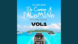 Pakata Pakata - DJ Nelson, Alejandro Armes