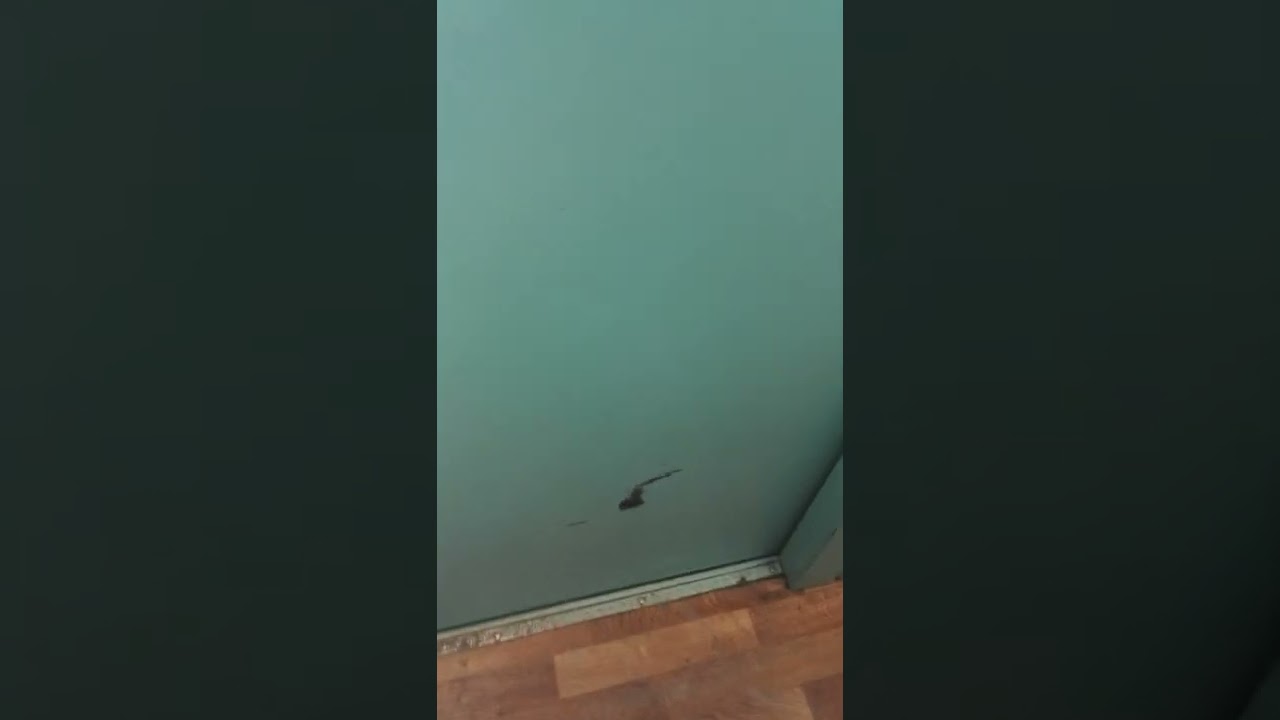 Я вернулся на тот самый убитый Могилевский лифт