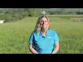 Innovative Solutions by AFL's Foundry: Transforming the Market