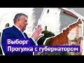 Прогулка по Выборгу с губернатором Ленобласти