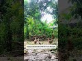 Discipline Is Not Punishment — It’s Devotion (Real Nature Sounds)
