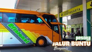 Menikmati Alam Hijau Jalan Raya Buntu Banyumas Bersama Bus Efisiensi Jetbus 3 Jogja-Purwokerto