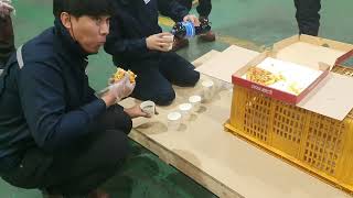 Download Lagu oleh jatah pizza teman teman dari perusahaan MP3