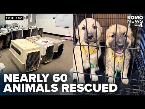 Nearly 60 animals rescued from 'deplorable' living conditions at ...