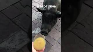 #бытьдобру #бытьдобру