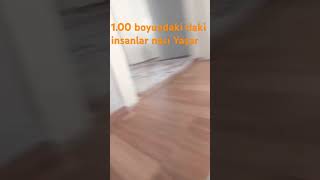 1.00 Boyundaki Insanlar Nasıl Yaşar