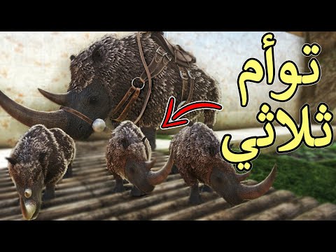 أرك سيرفايفل 17 ترويض وحيد القرن الصوفي  