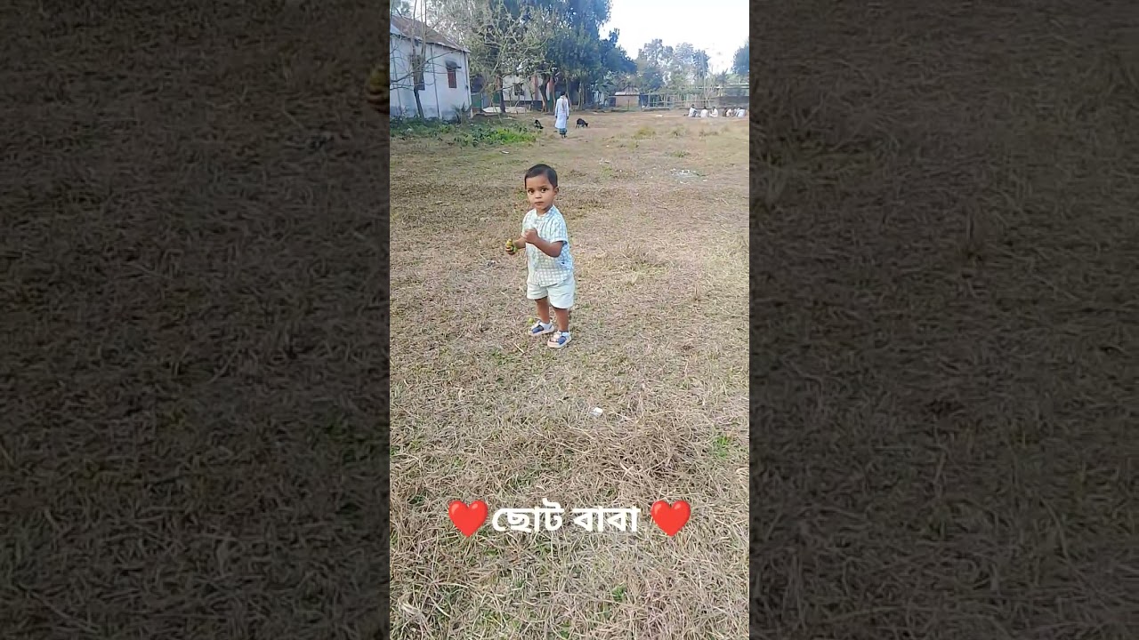 ❤️ জীবনের সেরা মুহূর্ত গুলোর একাংশ ❤️