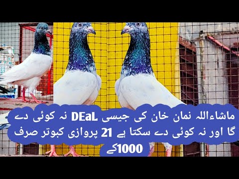 ماشاءاللہ نمان خان کی جیسی DEaL نہ کوئی دے گا اور نہ کوئی دے سکتا ہے 21 ...