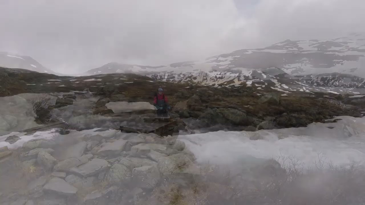 Norway - Hardangervidda in June