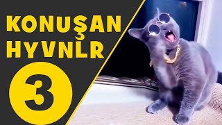 Konuşan Hayvanlar Konuşan Kediler 3