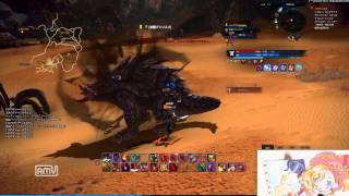 【TERA】20130212ヲリ岩バジソロ～ブレードandディフェンススタンス～