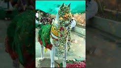 Syed shadulla baba Darga zapti nacharam
