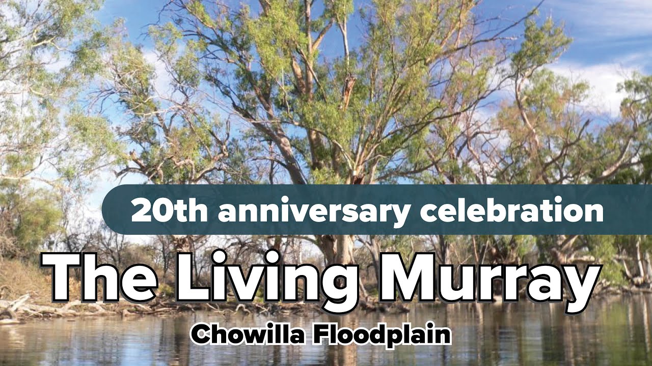 Presentation 5: Waterbirds and bush birds (TLM20 - Chowilla)