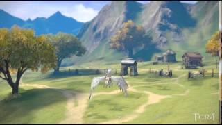 Tera - pegasus flight