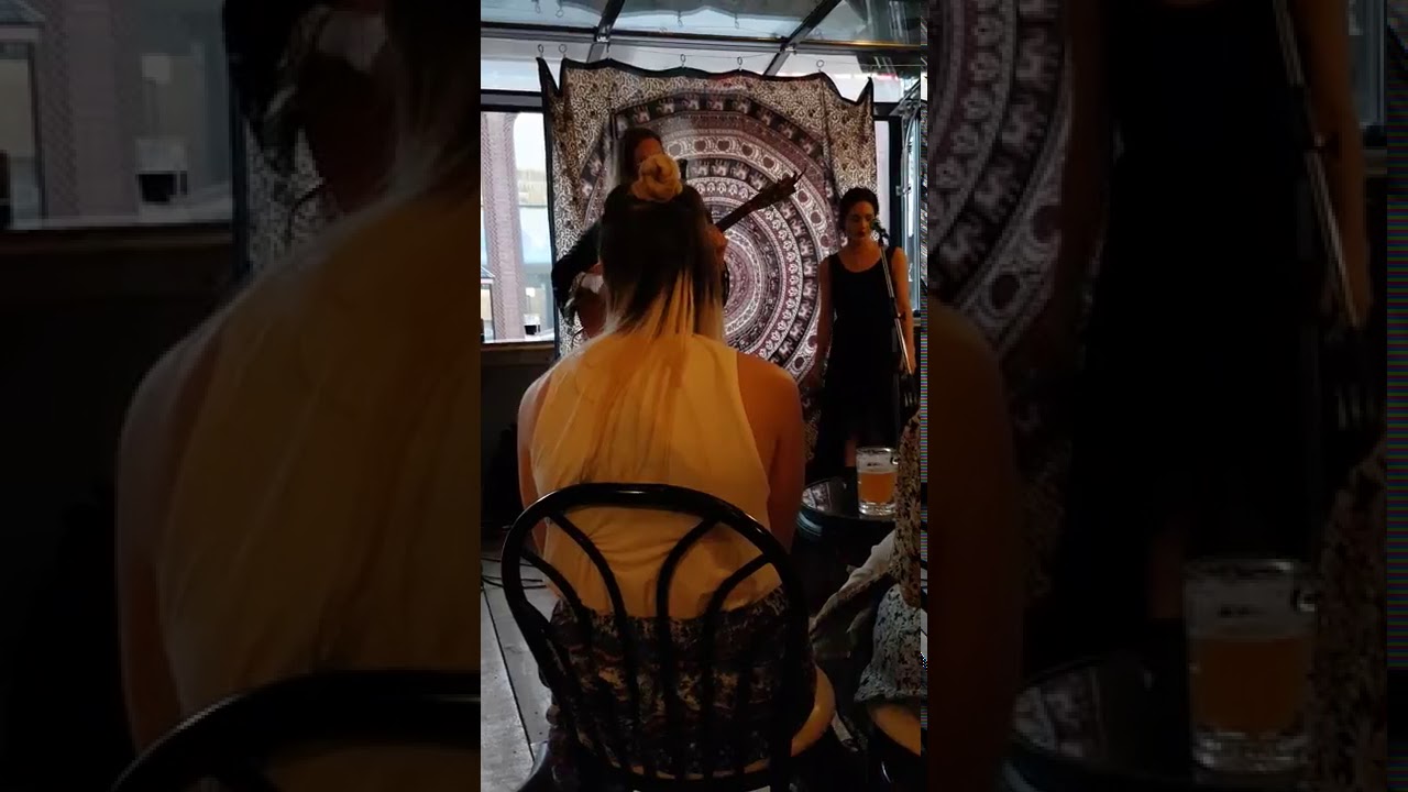 fat moth / moonfox - when, if you go live at plan b beer works part one