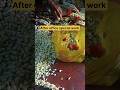 Hard work 14/100 weight loss challenge #viral #food #vlogs #love #hardwork