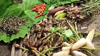 Village Life vlog! Me and my mom harvest organic vegetables in the field 