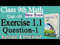 Class 9 Math New Book Exercise 1.1 Question 1 | Rational & Irrational Numbers | PCTB