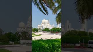 Sheikh Zayed Grand 🕌 #abudhabi #grandmosque #youtubeshorts #ytshorts #travel #explore #eidmubarak