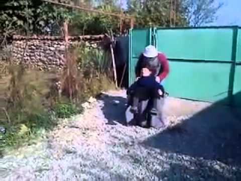 ნახეთ რას უშვება არანორმალური შვილიშვილი ბებიას